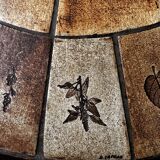 Roger Capron herbarium table