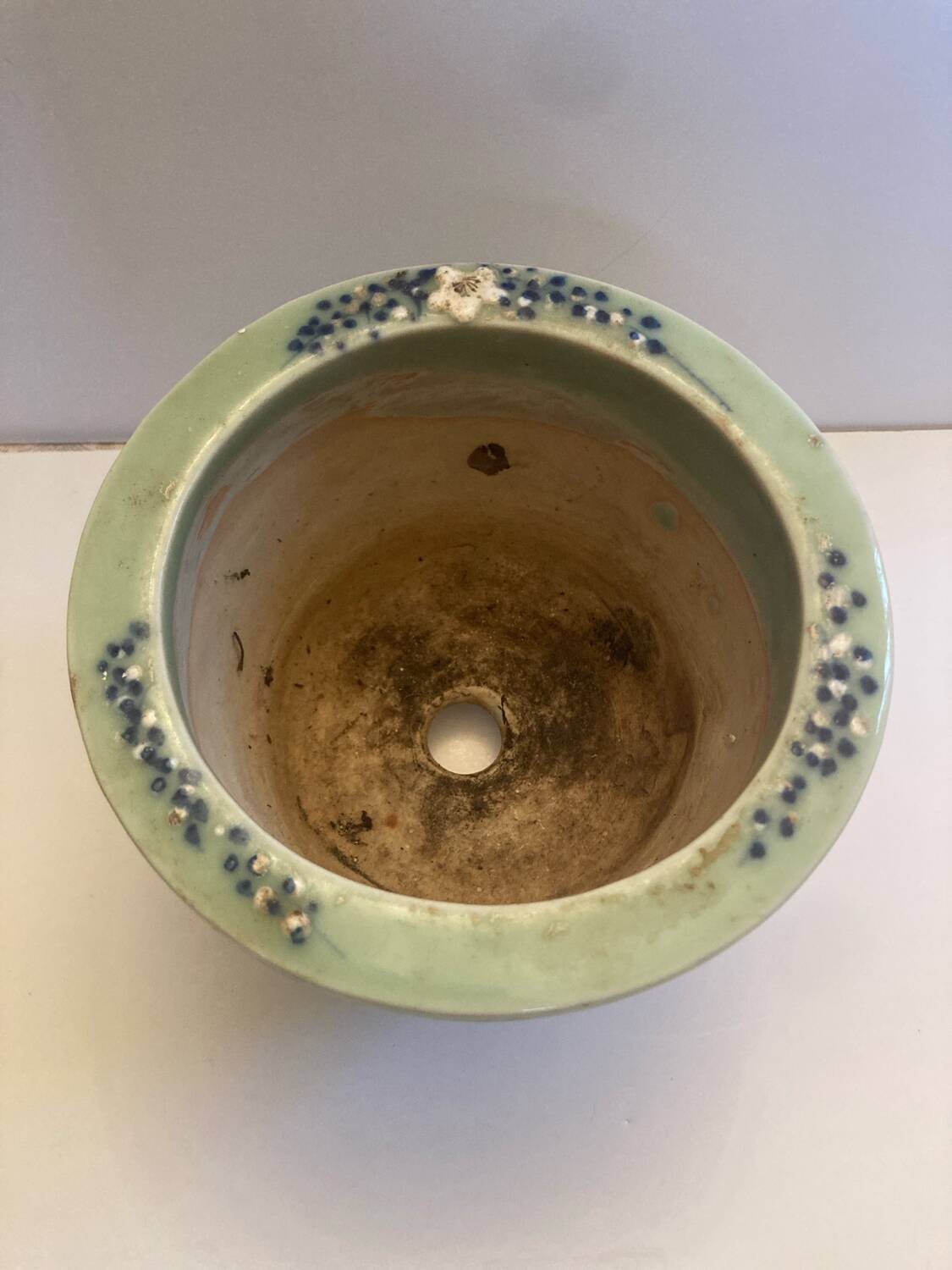 Cherry blossom flowerpot