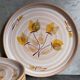 Six assiettes en grès de Niderviller au décor végétal vintages