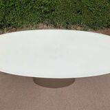 Oval designer dining table in frosted glass and brushed stainless steel