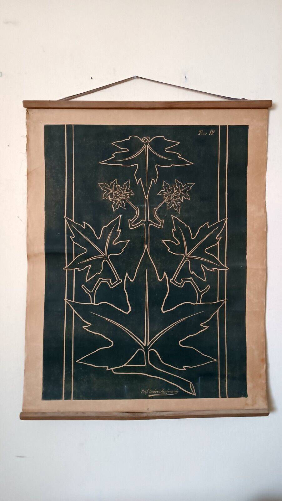 Antique print of a liberty plate by Prof. Andreani Isidoro - botanical plants, early 1900s