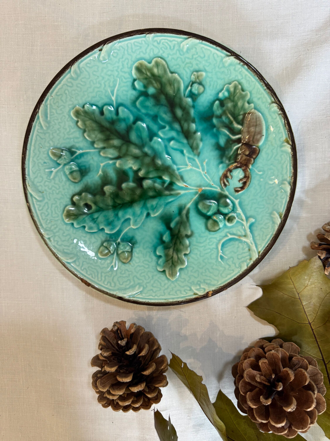 Rare scarab beetle plate