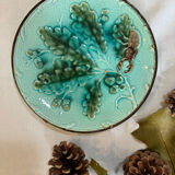 Rare scarab beetle plate