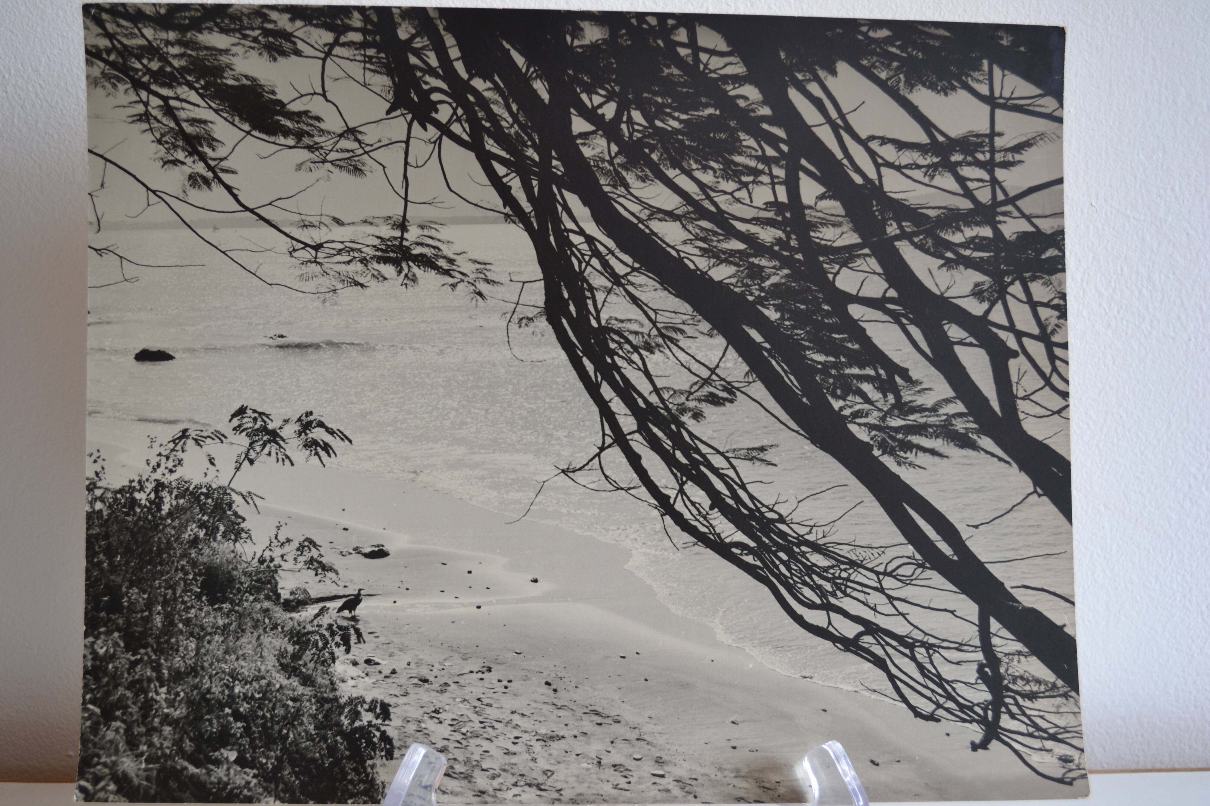 Anonymous silver photo africa beach sea circa 1970