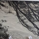 Anonymous silver photo africa beach sea circa 1970