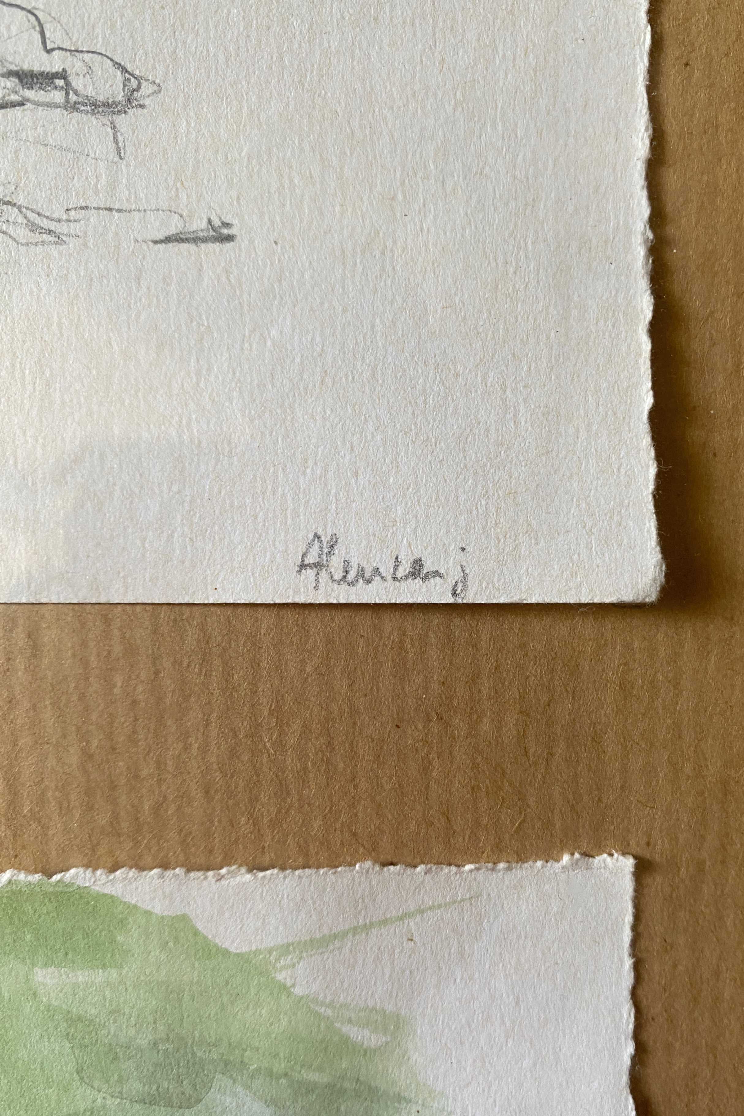 Lot of a watercolor accompanied by its sketched study