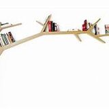 Tree Branch shelf by Olivier Dollé