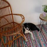 Armchair in rattan of the 1960s