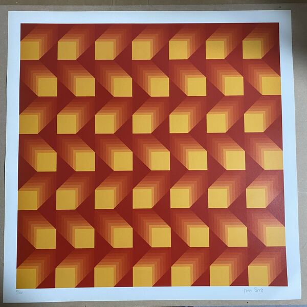 Sérigraphie sur papier - Jim Bird - Tribute to Vasarely