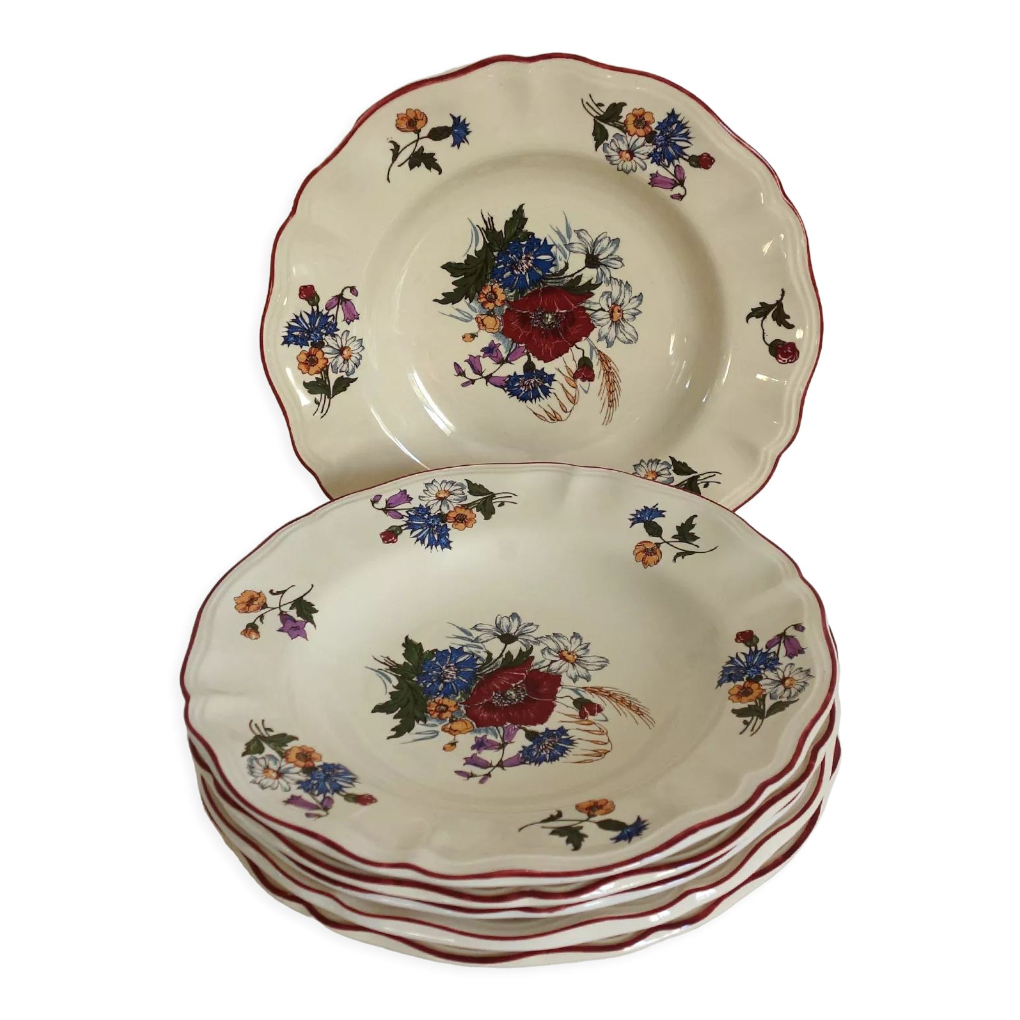 Set of 6 hollow plates in earthenware Sarreguemines Model "Agreste" vintage