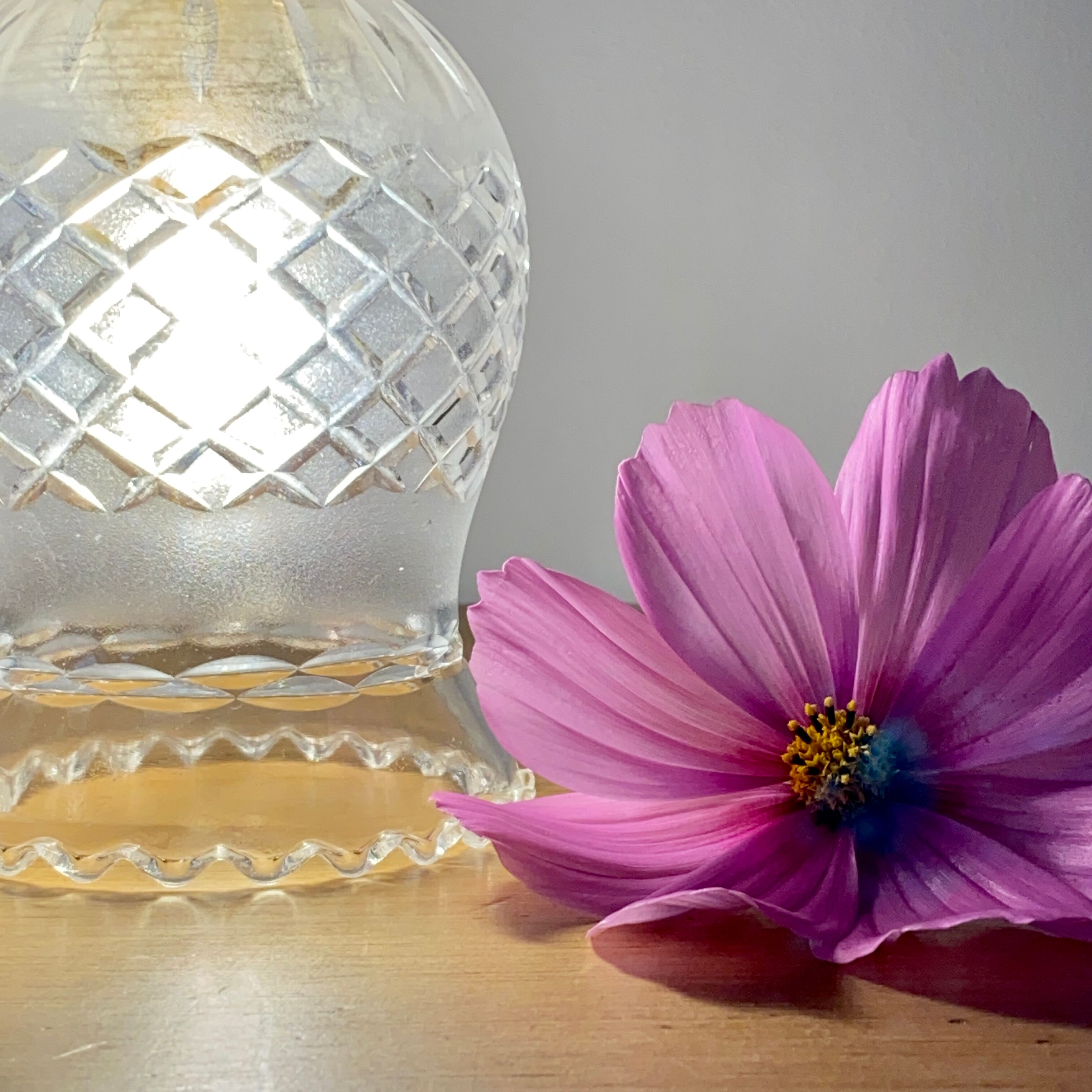 Vintage tulip walker in chiseled glass