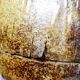 Large box/ice bucket curiosity Naturalised African Coconut vintage