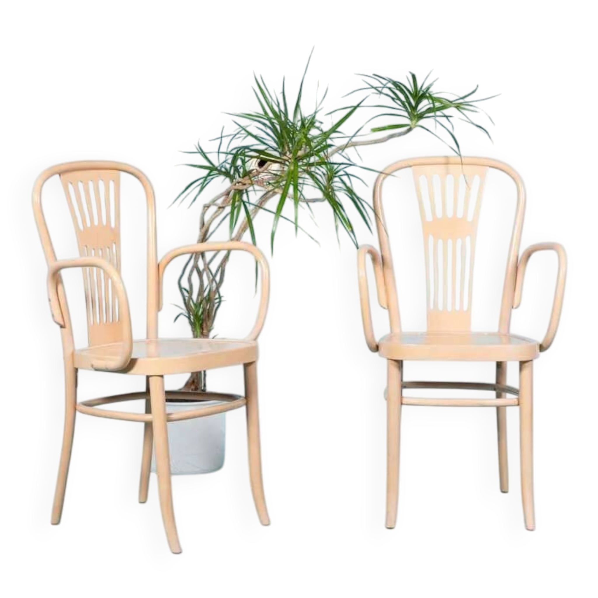 Ensemble de deux fauteuils en bois style Thonet, vintage rétro
