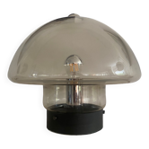 Vintage smoked glass mushroom table  / ceiling lamp
