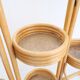 Rattan plant holder