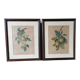 2 tableaux reproduction poires et prunes