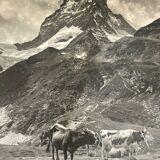 Old photography stereo, stereograph, luxury albumine 1903 Matterhorn Switzerland