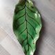 Plat en poterie artisanale