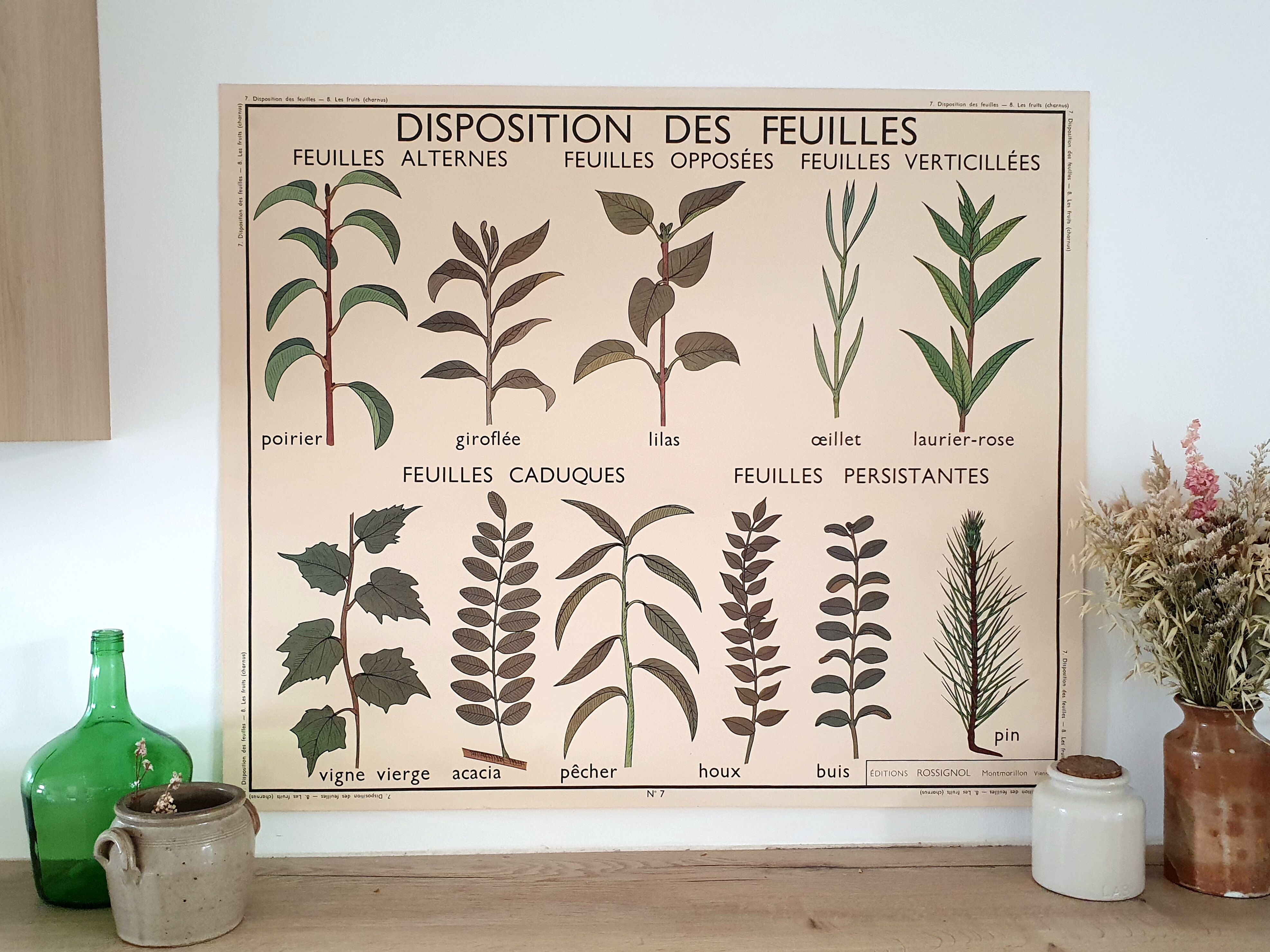 Rossignol school poster