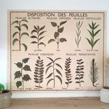 Rossignol school poster