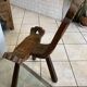 Brutalist tripod chair n1, carved solid wood, antique.