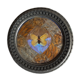 Round frame with old butterfly