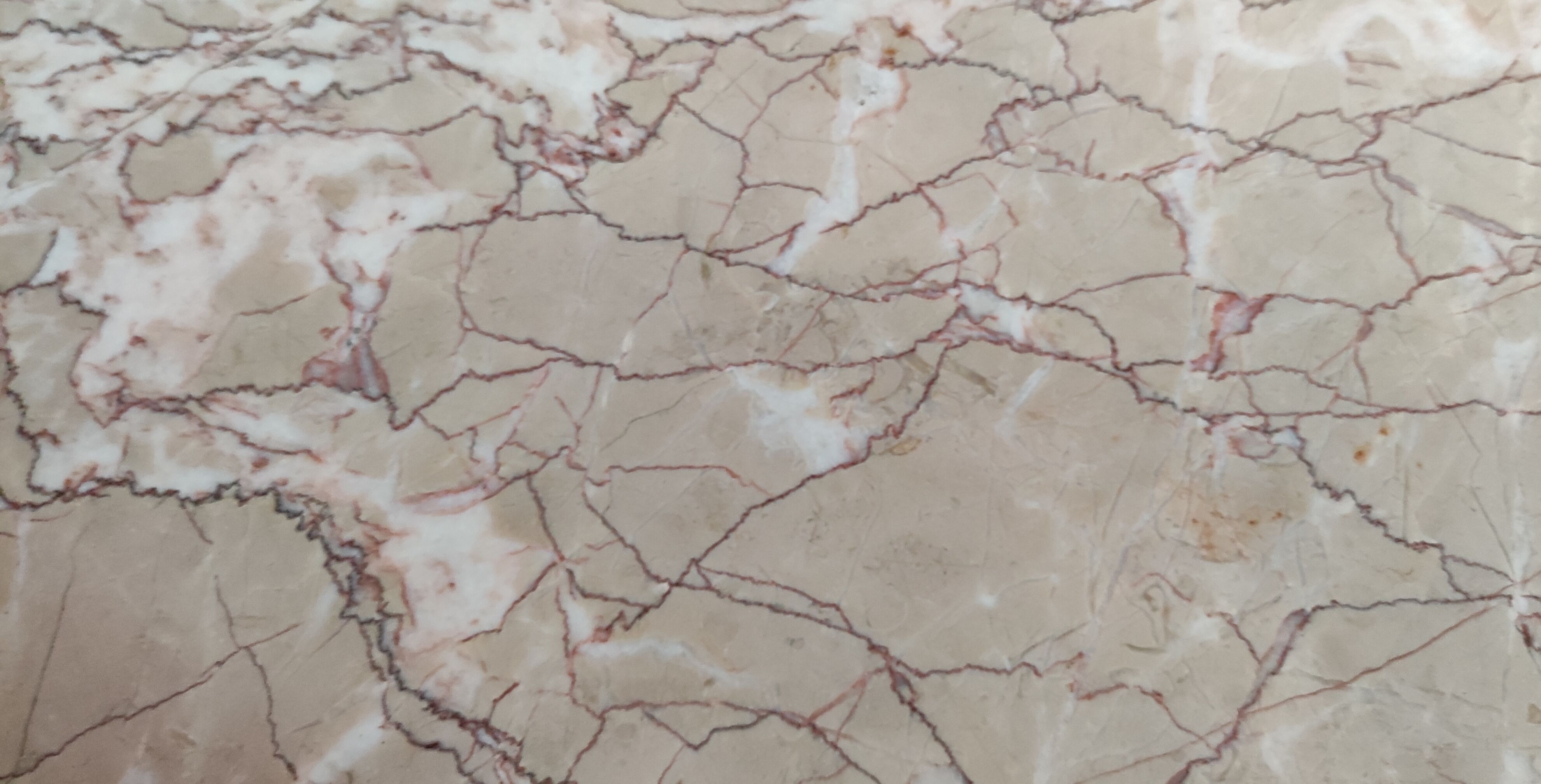 Showcase furniture 1950s