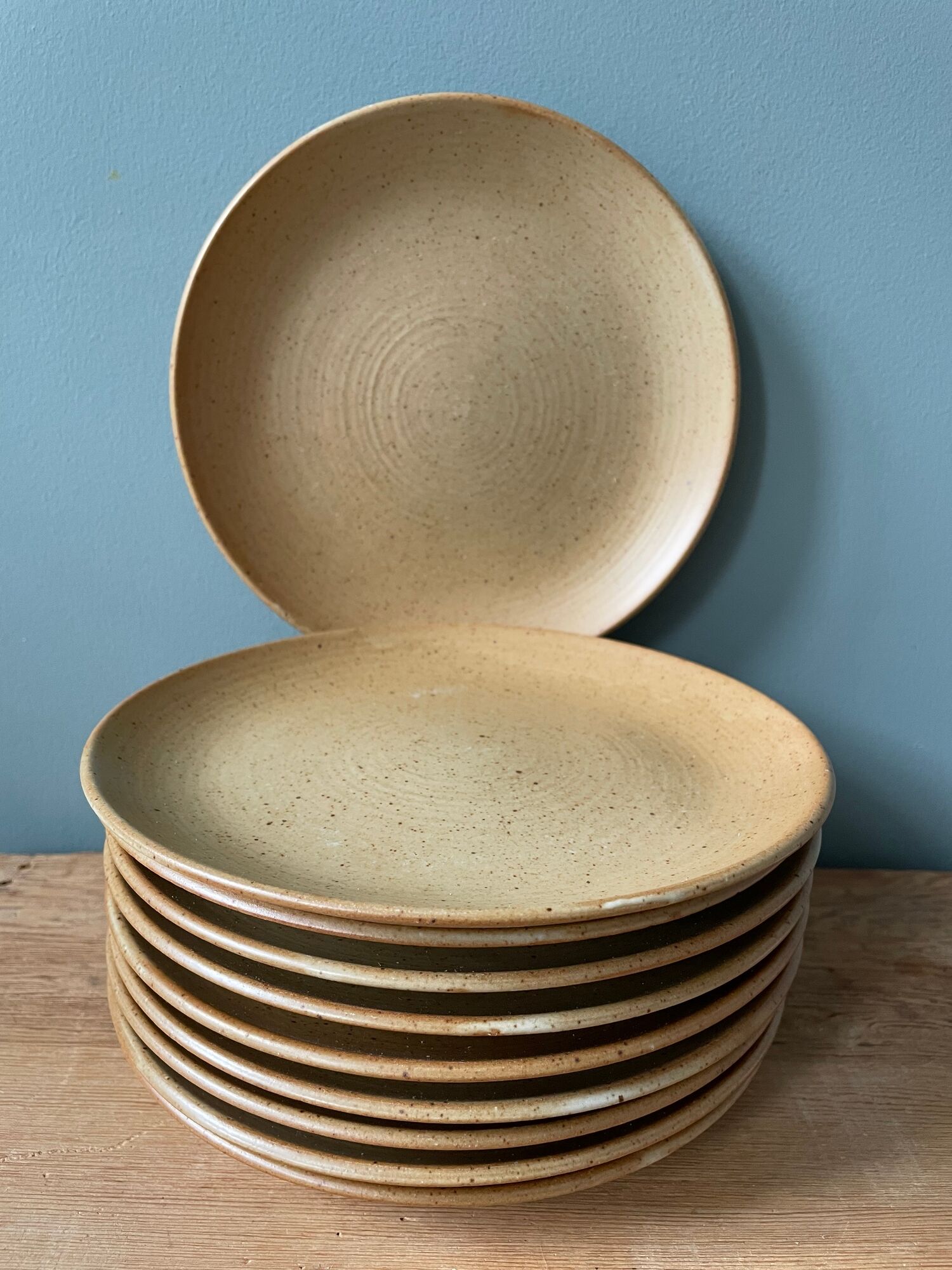 Set of 10 small vintage plates in Stoneware CNP Village France