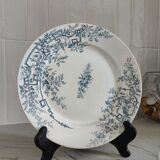 8 assiettes plates