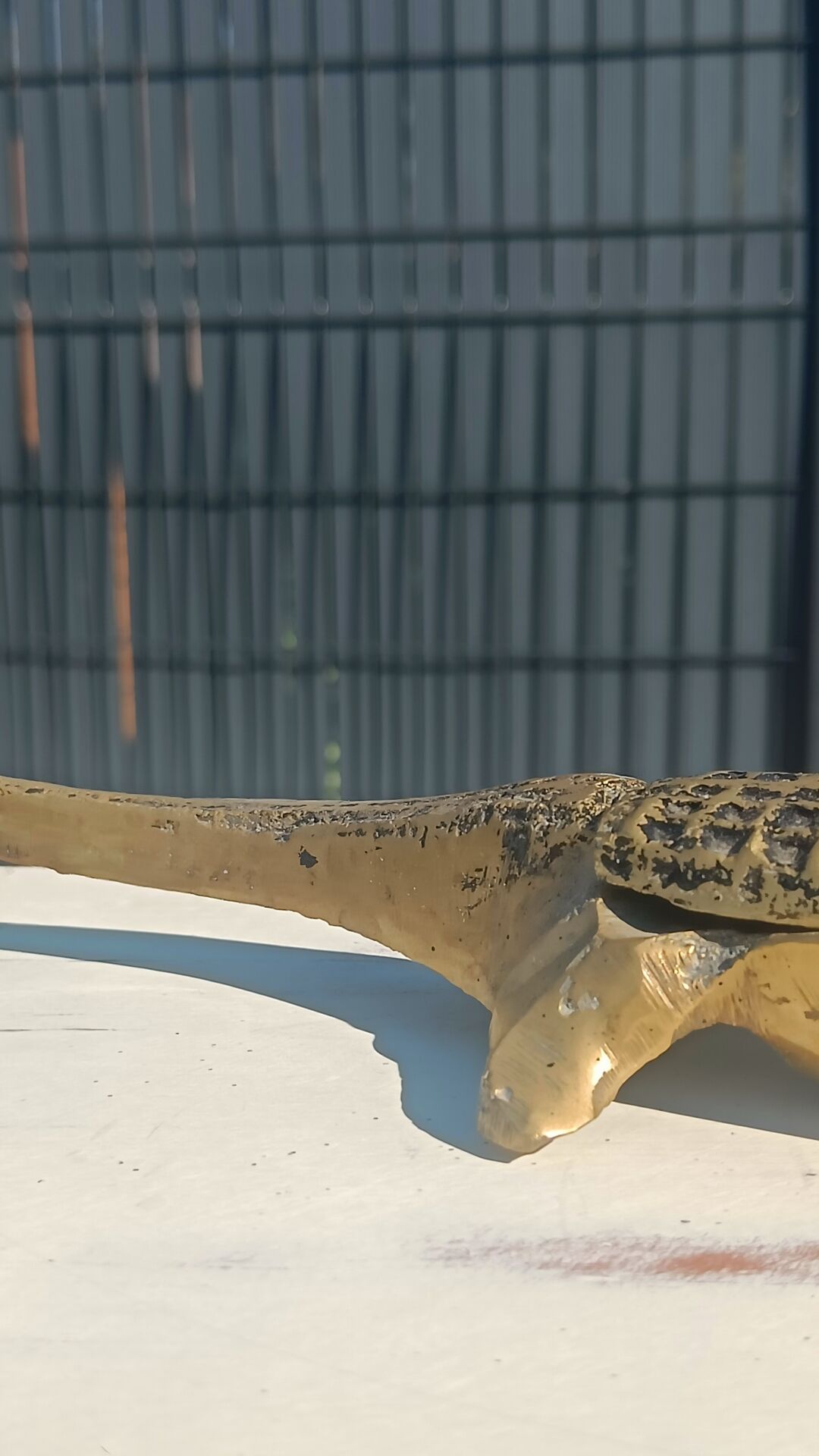 bronze crocodile ashtray 35 cm