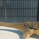 bronze crocodile ashtray 35 cm