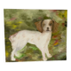 Dog painting by Heigel