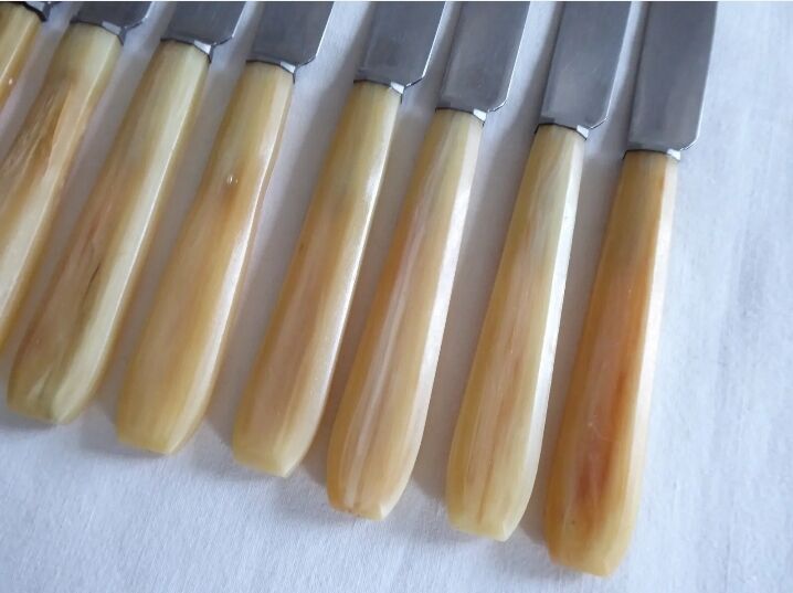 12 fruit knives, dessert. horn handle. length 19 cm