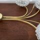 Luster 6 glass globes 60