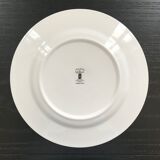 Lot of 6 plates botanical decoration