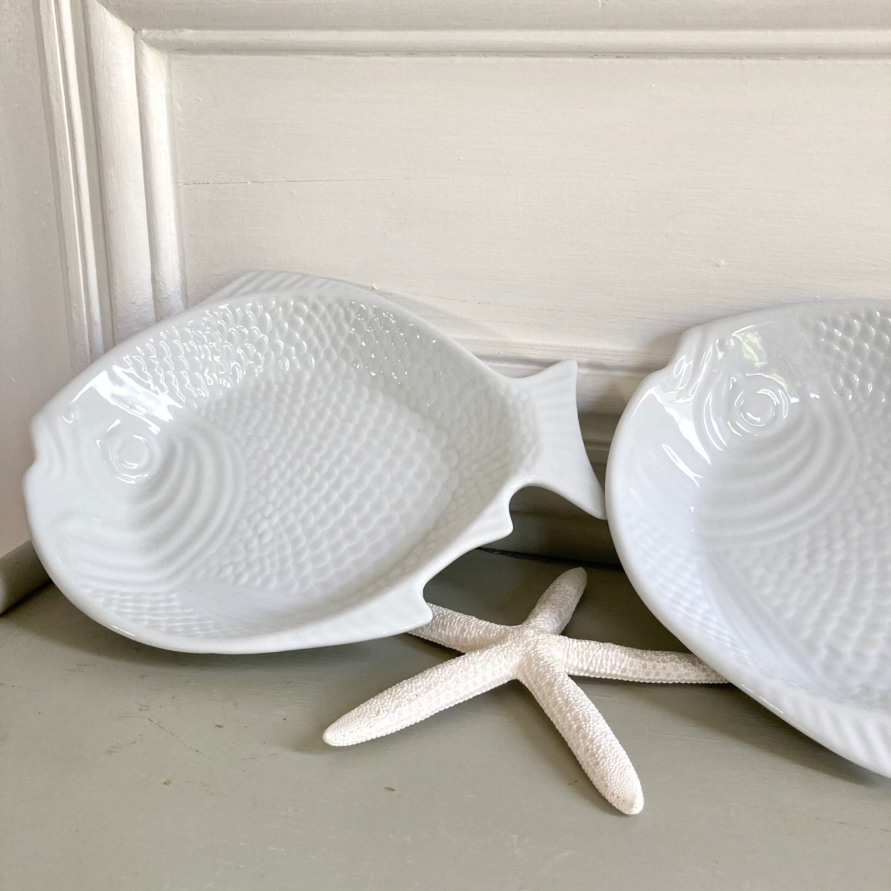 Embossed ceramic fish dishes