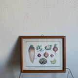 Vegetable painting