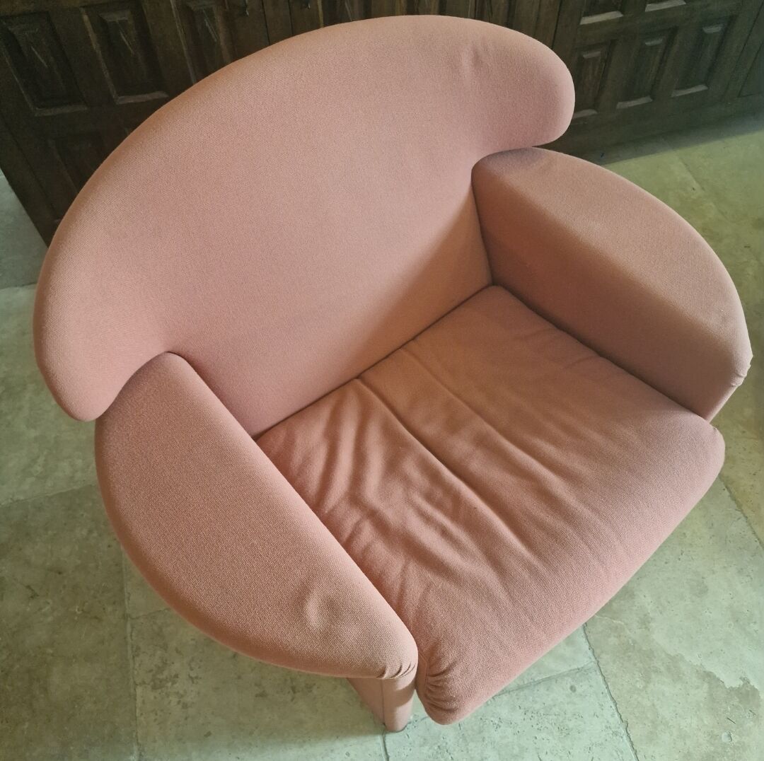 Pair of vintage Ronda armchairs by Afra and Tobia Scarpa