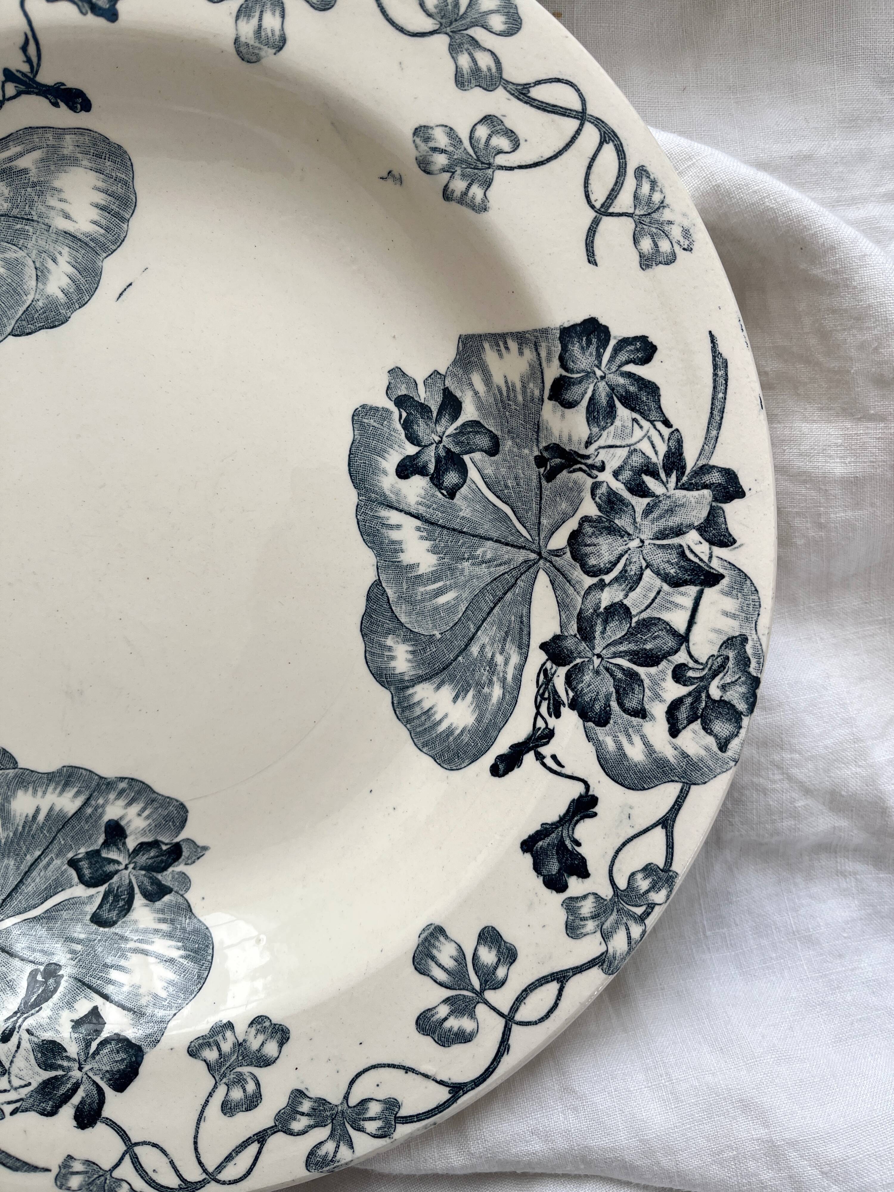 8 ironstone soup plates "Les Violettes" Salins