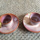Series of 2 cockroats