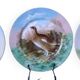3 decorative porcelain plates from Limoges featuring partridges and pheasants.