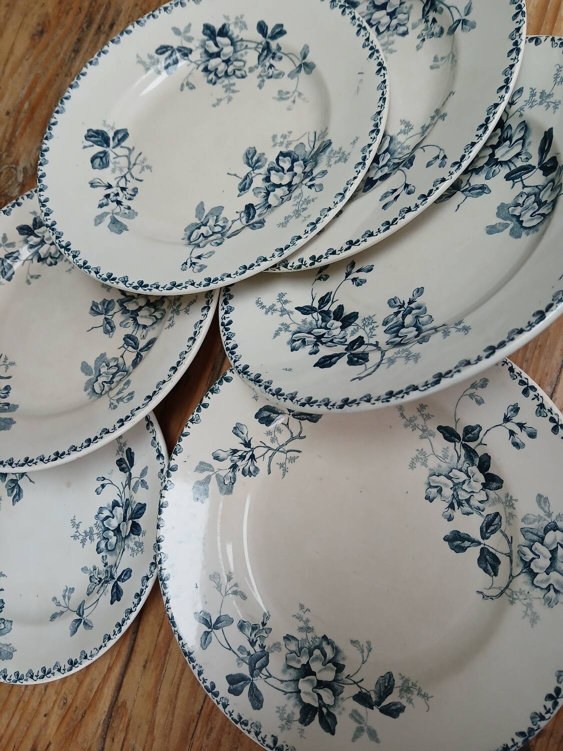 Set of 6 Terre de Fer plates, Acacia model
