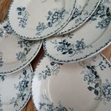 Set of 6 Terre de Fer plates, Acacia model