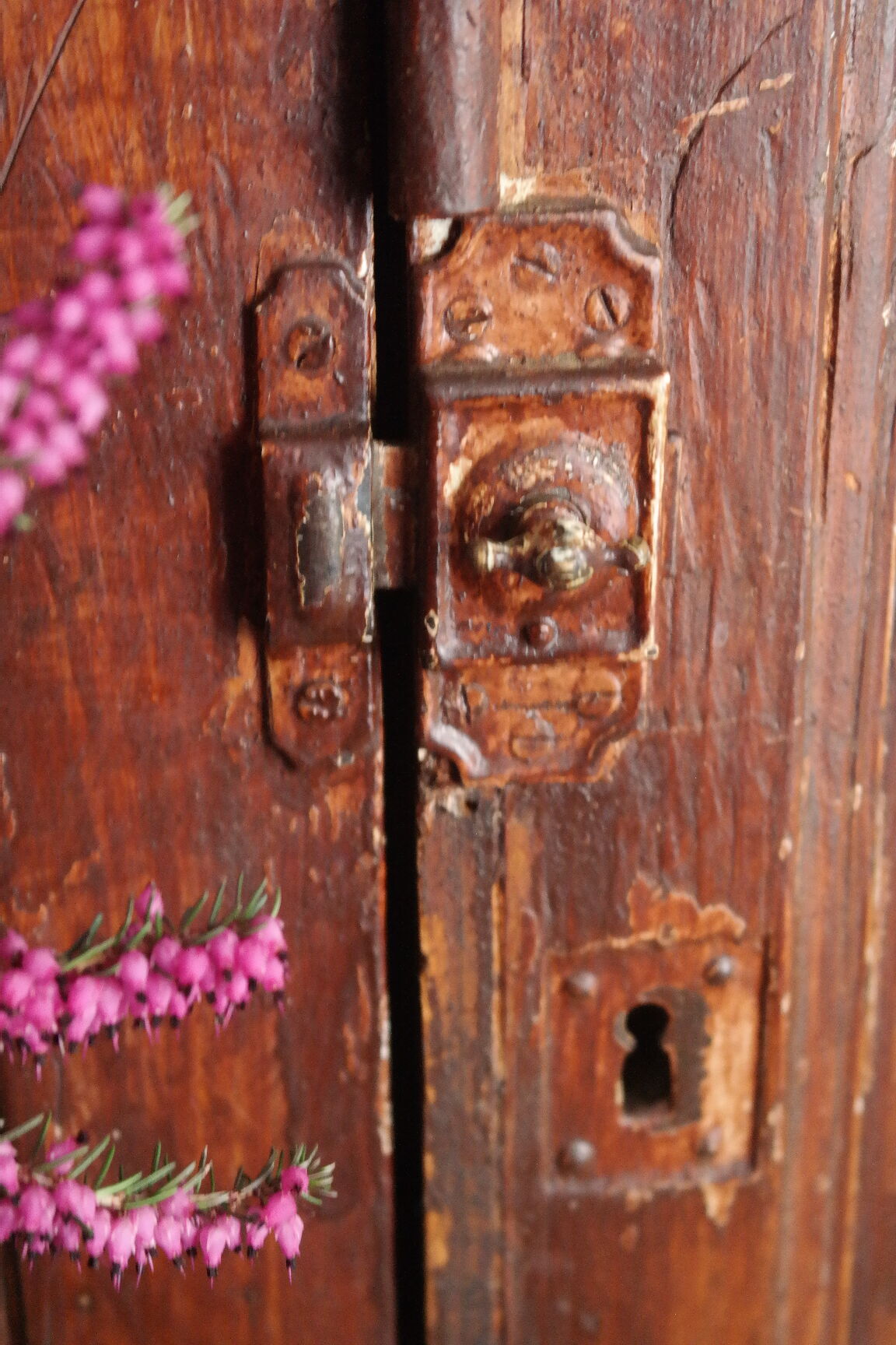 Country parisian buffet