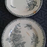 2 old plates