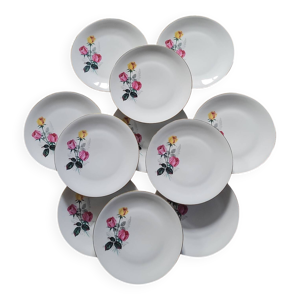 Assiettes plates  porcelaine