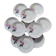 P.L. France porcelain dinner plates with roses — 1950s-60s