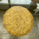 Table bambou et verre