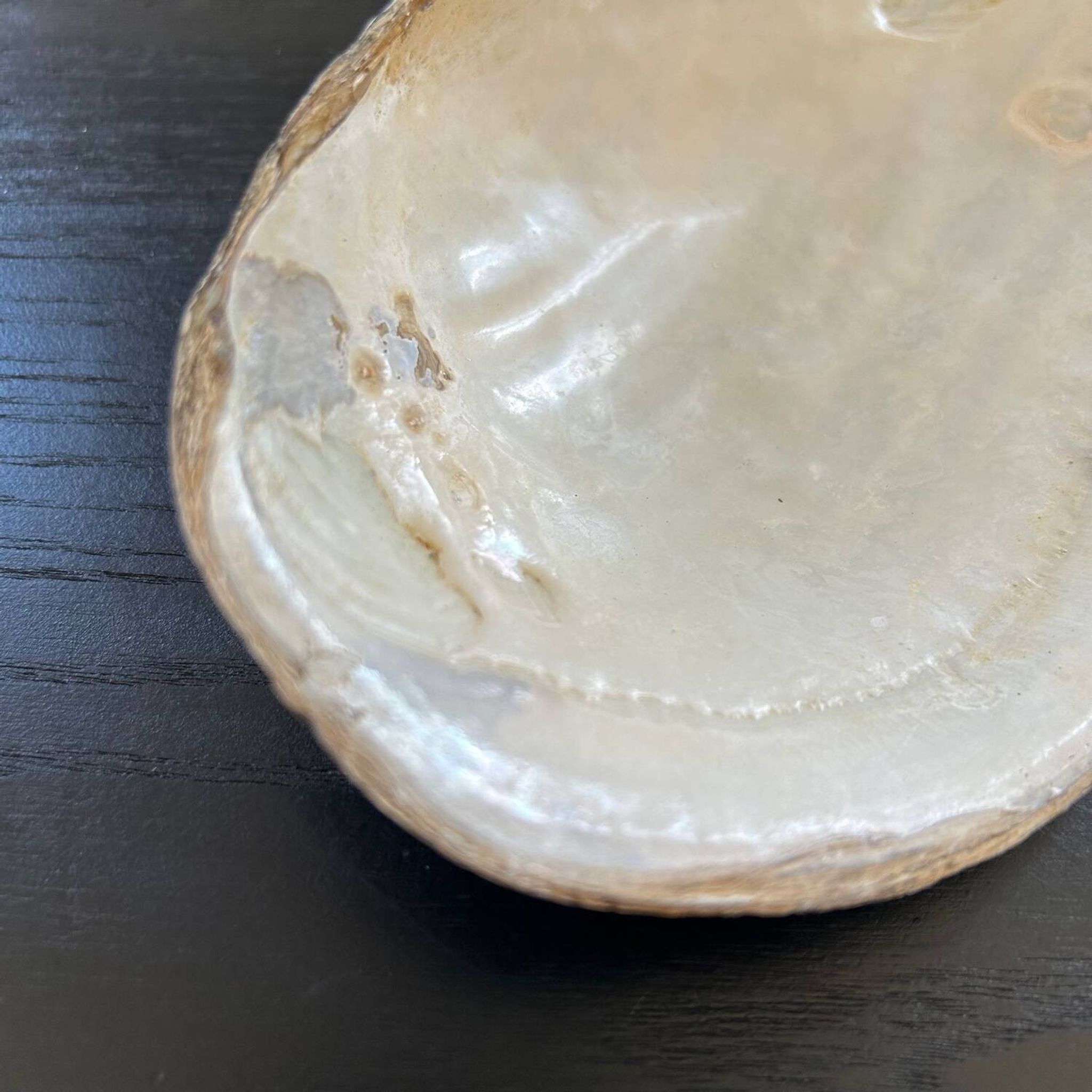 Vide poche coquillage en nacre