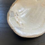 Vide poche coquillage en nacre